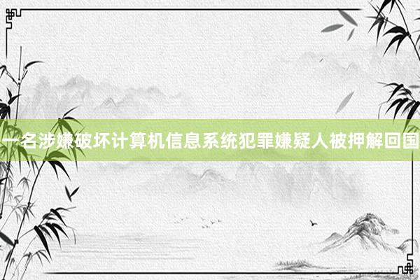 一名涉嫌破坏计算机信息系统犯罪嫌疑人被押解回国