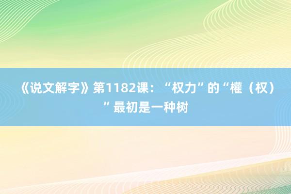 《说文解字》第1182课：“权力”的“權（权）”最初是一种树