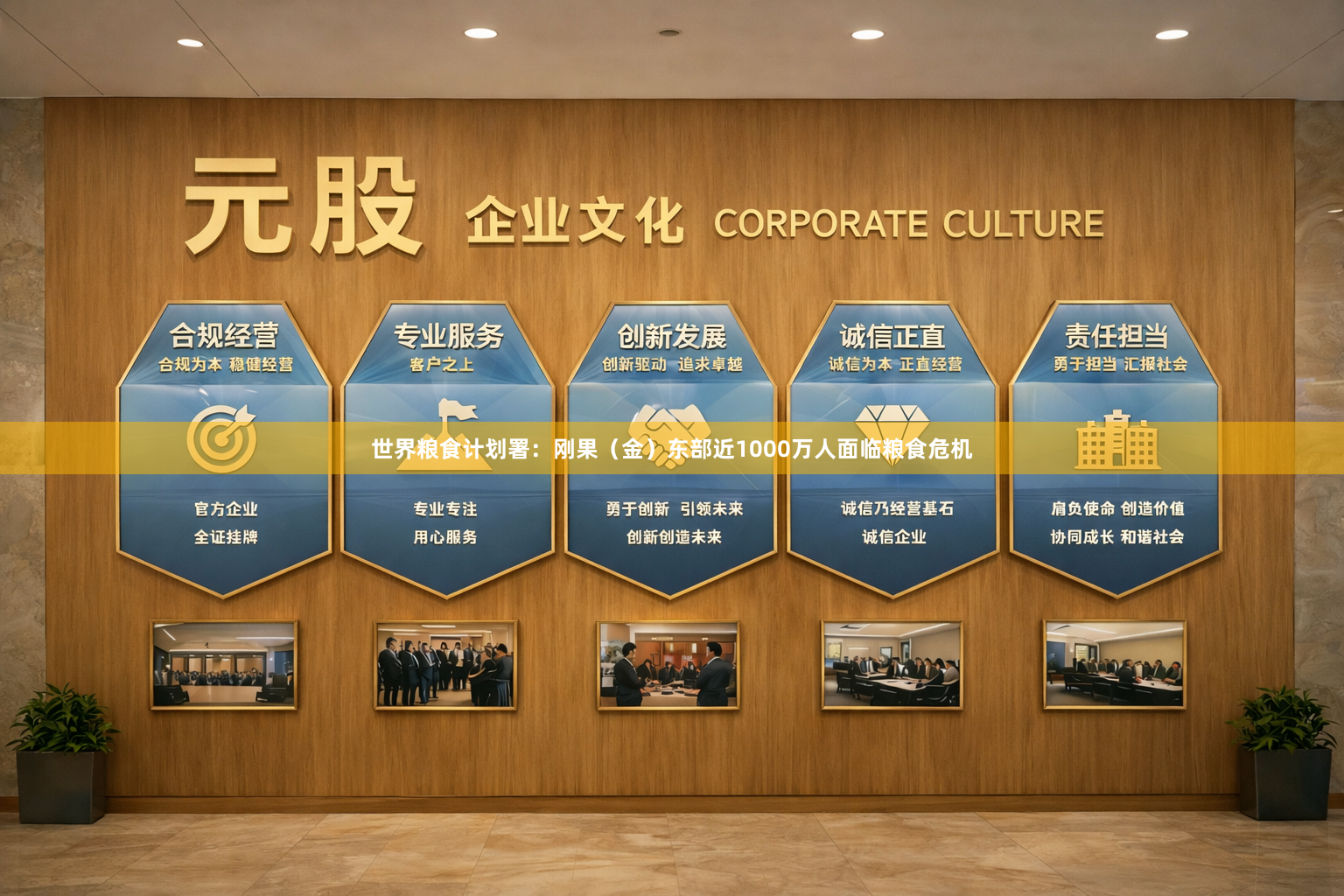 世界粮食计划署：刚果（金）东部近1000万人面临粮食危机