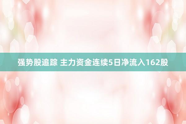 强势股追踪 主力资金连续5日净流入162股