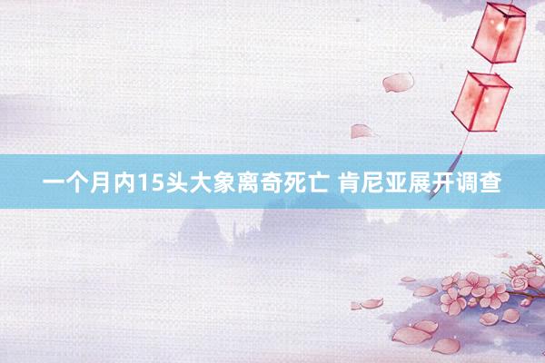 一个月内15头大象离奇死亡 肯尼亚展开调查