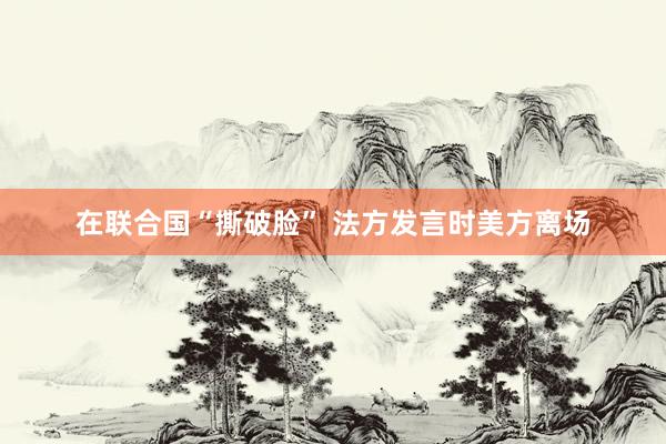在联合国“撕破脸” 法方发言时美方离场