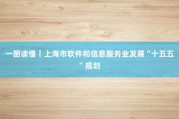 一图读懂｜上海市软件和信息服务业发展“十五五”规划