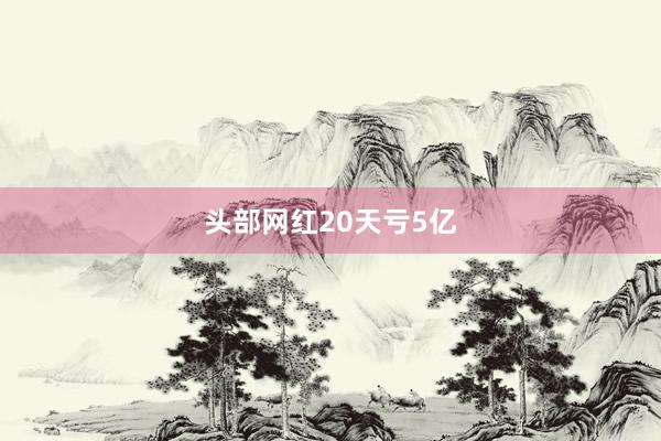 头部网红20天亏5亿