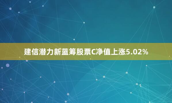 建信潜力新蓝筹股票C净值上涨5.02%