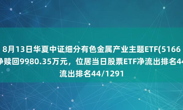 8月13日华夏中证细分有色金属产业主题ETF(516650)遭净赎回9980.35万元，位居当日股票ETF净流出排名44/1291