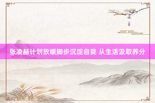 张凌赫计划放缓脚步沉淀自我 从生活汲取养分