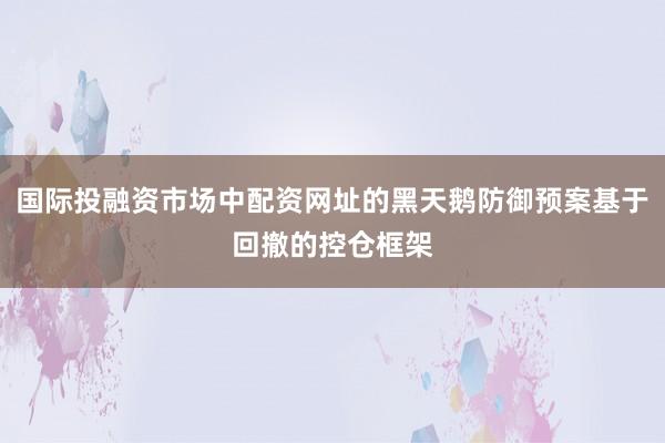 国际投融资市场中配资网址的黑天鹅防御预案基于回撤的控仓框架