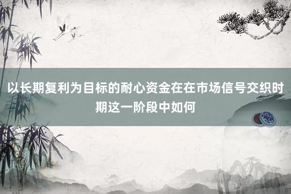 以长期复利为目标的耐心资金在在市场信号交织时期这一阶段中如何