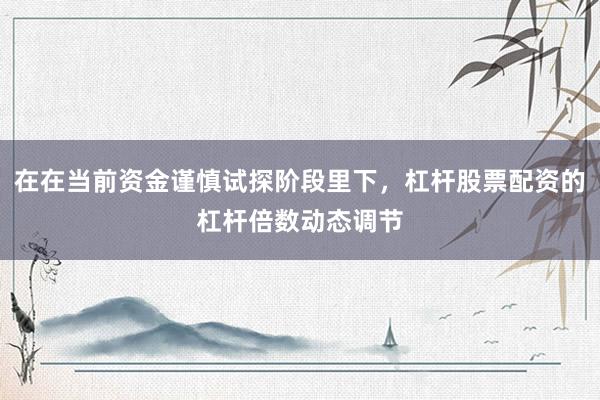 在在当前资金谨慎试探阶段里下，杠杆股票配资的杠杆倍数动态调节