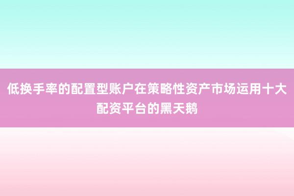 低换手率的配置型账户在策略性资产市场运用十大配资平台的黑天鹅