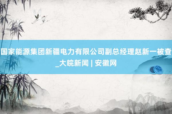 国家能源集团新疆电力有限公司副总经理赵新一被查_大皖新闻 | 安徽网