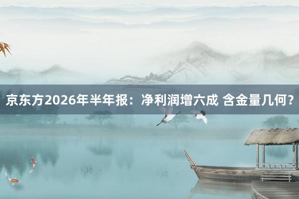 京东方2026年半年报：净利润增六成 含金量几何？