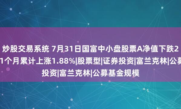 炒股交易系统 7月31日国富中小盘股票A净值下跌2.32%，近1个月累计上涨1.88%|股票型|证券投资|富兰克林|公募基金规模