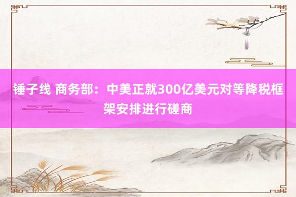 锤子线 商务部：中美正就300亿美元对等降税框架安排进行磋商