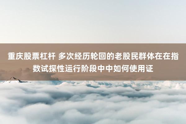 重庆股票杠杆 多次经历轮回的老股民群体在在指数试探性运行阶段中中如何使用证