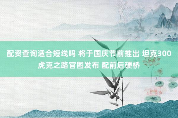 配资查询适合短线吗 将于国庆节前推出 坦克300虎克之路官图发布 配前后硬桥