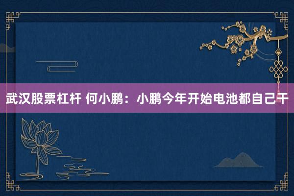 武汉股票杠杆 何小鹏：小鹏今年开始电池都自己干