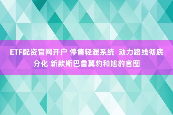 ETF配资官网开户 停售轻混系统  动力路线彻底分化 新款斯巴鲁翼豹和旭豹官图