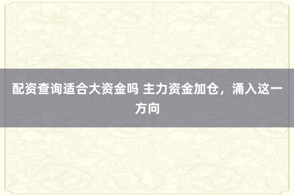 配资查询适合大资金吗 主力资金加仓，涌入这一方向