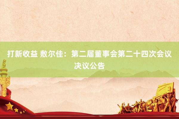 打新收益 敷尔佳:第二届董事会第二十四次会议决议公告